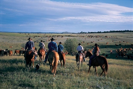 douglas lake ranch2