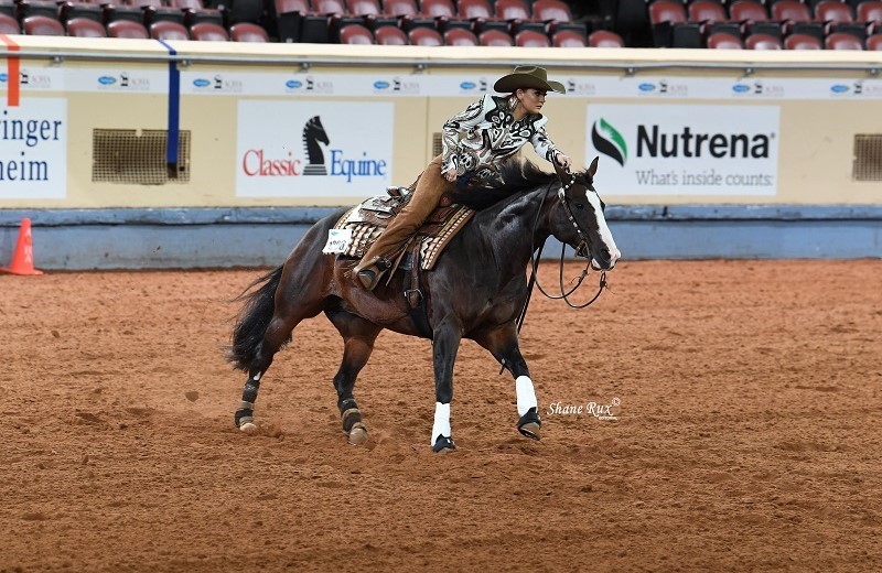 New Qualifying Requirements for 2023 AQHA World Championship Shows