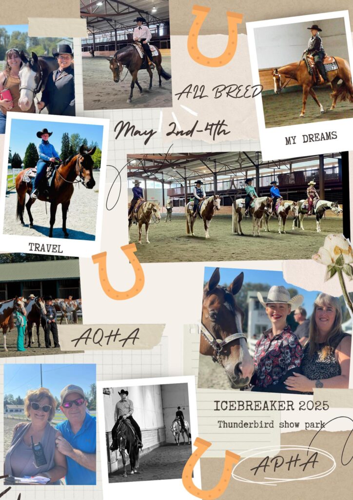 lmqha icebreaker show poster