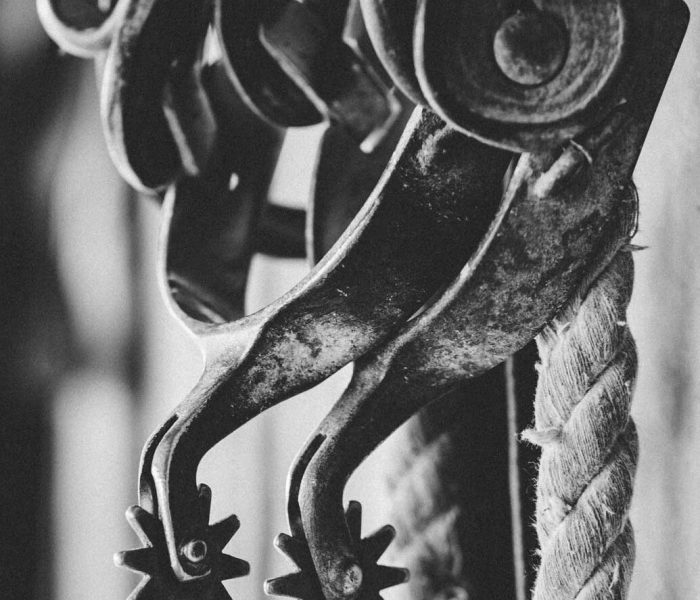 scott-warman--qBxeWf2SKU-unsplash